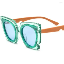 Sunglasses 2024 Rainbow Colour Plate Cat Eye Men's Women's Polarised Fashion Tiktok Same Driving Mirror Cycling