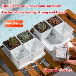 Planters Meshpot Square Plastic Succulent Lithop Cactus Planter Flower Pot with Drainage Windowsill Planting Box