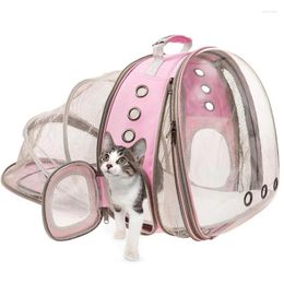 Cat Carriers Spot Backpack Transparent Expandable Pet Outing Bag Portable Shoulder Dog Breathable Large Capacity Wholesa