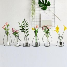 Vases Metal Plant Holder Retro Iron Line Table Flowers Nordic Decoration Home Styles Flower Vase With Glass Bottle