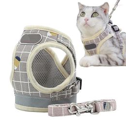 Dog Collars Harness And Strap Set User-Friendly Cat Strape Flexible Behaviour Aids For Festival Parades Travelling Camping