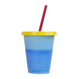 Disposable Cups Straws 16oz Single Layer Plastic Colour Changing Cup Children's Drink Fruit Tea Thermochromic Straw Young And Hungry Mug