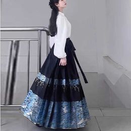 New Chinese Light Luxury Style Improved Fashion Hanfu Autumn Horse Face Skirt for Women and Adults Daily Small Figure Ancient Costume