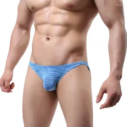 Underpants 2024 Arrival 1pcs Men Underwear Solid Sexy Briefs Adult Cotton Breathable Apparel M L XL XXL