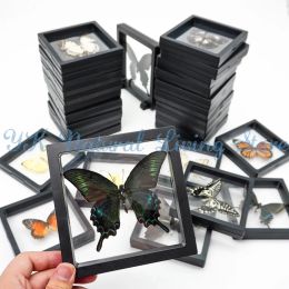 Miniatures 2PCS 40 Kinds Of Real Butterfly Specimens Photo Frame Office Home Desktop Bookshelf Ornaments Search Collection Display Gift