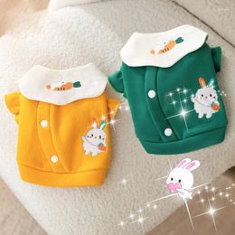 Dog Apparel Little Carrot Lapel Sweater Cat Pet Autumn And Winter Clothes Pomeranian Pullover Supplies Puppy Clothing