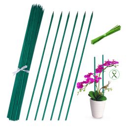 Supports 30Pc Orchid Support Rod Bamboo Green Sticks Support for Plants Flower Stick Orchid Rod Plant Stick for Supporting Climbing Plant