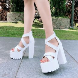 Sandals Platform Women Open Toe Gladiator Fashion Shoes Hollow Out Non-Slip Soft Bottom Girls Chunky Heels 14.5cm