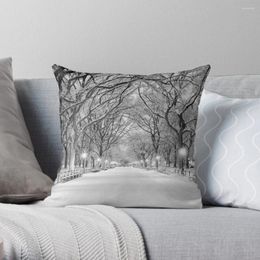 Pillow Cental Park York NYwinter Scene Throw Sofas Covers For Pillowcases Bed S Cover