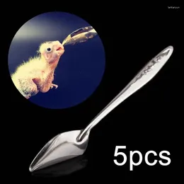 Other Bird Supplies 5 Pcs Baby Pointed Feeding Spoon Stainless Steel Milk Parrot Feeder For All Peony Cockatiel