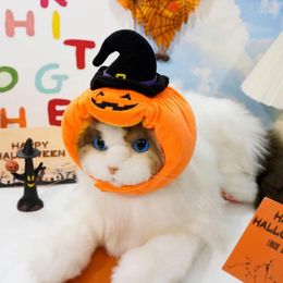 Dog Apparel Pet Supplies Hat Halloween Funny Pumpkin Animal Clothing Personalised Cute Transformation Head Cover Accessories