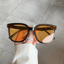 Sunglasses Korean Stylish Women Fashion Square Shape Anti-glare Sun Glasses Men Fishing Hiking Women's