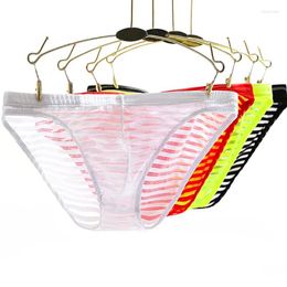 Underpants Ice Silk Mens Briefs Transparent Panties Intimates Sexy Men Underwear Bulge Nylon Summer Super Thin