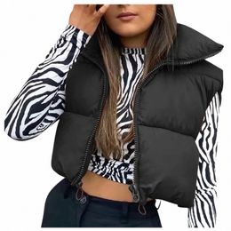 autumn and Winter Women's Winter Tank Top Sleevel Bomber Lightweight Stand Collar Zip Solid Quilted Vest 00KY#