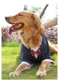 Dog Apparel Striped Large Tuxedo Big Suit Clothes With Bow Tie Husky Clothing 3XL To 7XL