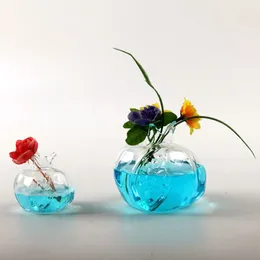Vases Pomegranate Hydroponic Plants Glass Vase Home Decor Flower Cachepot For Flowers Creative Room Decoration