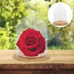 Vases Decorate Glass Cover Display Shelves Cake Toppers High Borosilicate Gift Packaging