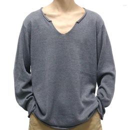 Men's Sweaters 2024 Spring Men Long Sleeve V-Neck Sweater Casual Crew Neck Knitted Top Clothing Fashion Autumn Solid Loose Male