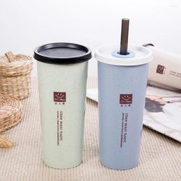 Cups Saucers 1PC Creative Hand Cup Wheat Straw Water With Straws And Double Lid Cola Coffee Drinking Travel Home Office Mug