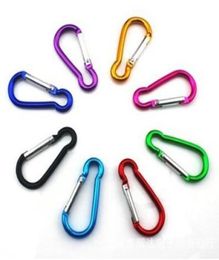 Small Carabiner Carabiner Clip Ring Keyrings Key Chain Outdoor Sports Camp Snap Hook Keychains Hiking Aluminum Metal Stainless Ste3616606