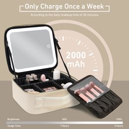 Travel Makeup Bag with Mirror of LED Lighted Train Case Adjustable Dividers Detachable 10x Magnifying 240328