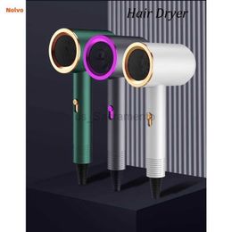 Hair Dryers Professional Hair Dryer Home Appliances High Power Blue Light Anion Anti-Static Modelling Tools Hot And Cold Air Hair Dryer 240329