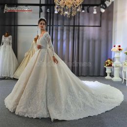 Light Champagne V Neck Crystal Lace Ball Wedding Dresses Muslim Long Sleeves Open Back Plus Size Bridal Gown Real Pictures BC