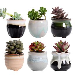 Planters 6pcs Creative Ceramic Succulent Plant Flower Pot Variable Flow Glaze for Home Room Office Seedsplants Plant Pot Without Plant