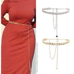 Waist Chain Belts Ladies simple metal waist chain Star Pendant sexy elegant dress gold silver body chain Y240329