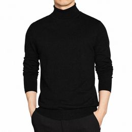 high Quality Turtleneck Sweater Men Pullover Basic Solid Turtle-Neck Sweater Male Black Wine red Green Grey Purple Knitwear Man u2DB#