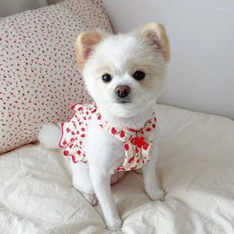 Dog Apparel Pet Clothing Cute Little Skirt Spring Summer Thin Style Gifts For Pets Comfortable Breathable