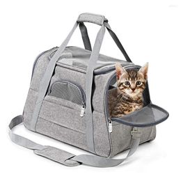 Bolsa transportadora para cães, mochila portátil para gatos e animais de estimação, respirável, aprovada pela companhia aérea, ombro de dois lados para e