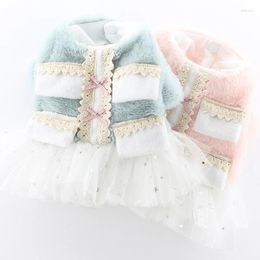 Dog Apparel Puppy Pet Dogs Clothes Winter Girl Dress Sweetly Princess Skirt Yorkie Chihuahua Poodle Schnauzer Bichon Clothing Costume