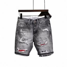 straight Graphic Man Denim Shorts Knee Length Multi Colour Lg Half Short Jeans Pants for Men Ripped Harajuku Blue Y2k Hip Hop M2cC#