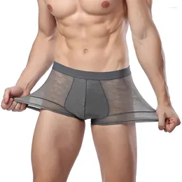 Underpants Men Underwear Thin Boxer Transparent Sexy Underware Cheeky Slip Ice Silk Breathable Sheer Man Male Gay Shorts