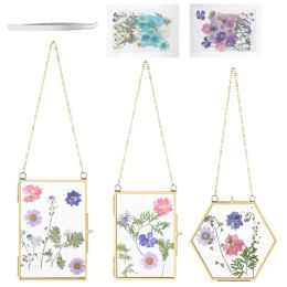 Frame 3Pack Pressed Flower Glass Frames Golden Hanging Glass Picture Frame With Chain Floating DIY Dried Flowers Leaves Display Frames