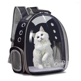 Cat Carriers Carrier Bag Transport Backpack Travel Pet Portable Breathable Dog Transparent Bags For