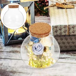 Vases 2pcs Sealed Clear Terrarium Glass Bottle Microlandscape Jar Spherical Ecological