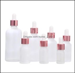 Bottles Packing clear Frosted Glass Bottleliquid Reagent Pipette Dropper With Rose Gold Cap Essential Oil2059740