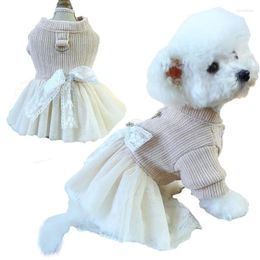 Dog Apparel Girls' Sweet Dress Pet Clothes Tulle Skirt Small Medium-sized Clothing Maltese Cat Coat Jacket L Autumn