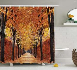 Shower Curtains Autumn Curtain Pathway In The Woods Covered Dried Deciduous Tree Leaves Romantic Fall Season Cloth Fabric Bat