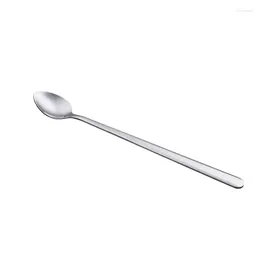 Spoons (Set Of 12)Stainless Steel Mixing Spoon Lengthened Ice Tip Thickened Bar