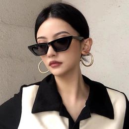 Sunglasses Small Frame Cat's Eye Women's Brand Designer Fashion Sun Glasses Women Outdoor Street Pography Eyewear UV400