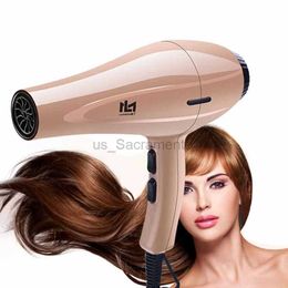 Hair Dryers Professional Negative Ion Hair Dryer with Air Collecting Nozzle 3200w Blow Dryer Hot/Cold Wind for Hairdresser Styling Tools 40D 240329