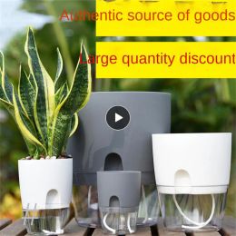 Albums Double Layer Indoor Golden Transparent Hydroponic Flowerpot Flower Pot Self Watering with Injection Port Cotton Rope Plastic