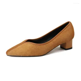 Dress Shoes Female High Heels Spring 2024 Shallow Mouth Design Pointed Toe Ladies Pumps Fur Material High-Quality Single