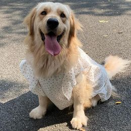 Dog Apparel Golden Retriever Clothes Summer Pet Dress Small Big Large Costume Poodle Border Collie Samoyed Husky Labrador Clothing