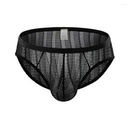 Underpants Mens Briefs Low Rise Sexy Striped Transparent Underwear Breathable Pouch See-Through Tanga Slip-Calzoncillos Hombre