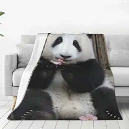 Blankets Huahua Panda Animal Blanket Lightweight Breathable Decorative Bed Throw For Easy Care Machine Room Decor