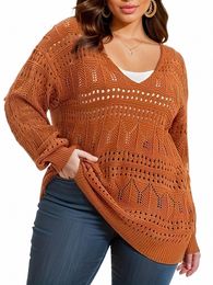 plus Size Casual Knit Top, Women's Solid Hollow Out Lg Sleeve V Neck Sheer Pullover Sweater,Autumn&Winter Sweater h9Eb#